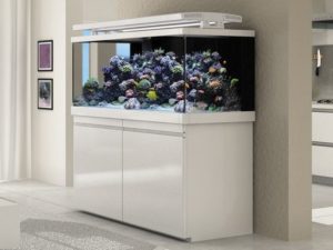 iventshop-img-aquariumMeuble001