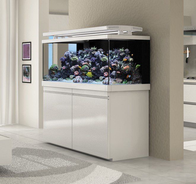 iventshop-img-aquariumMeuble001
