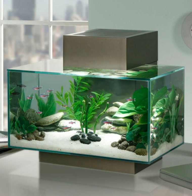 iventshop_imgMini_aquarium0001
